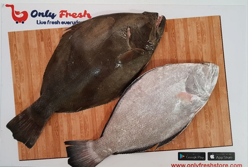 HALIBUT /AYIRAM PALLI SIZE FISH 600-800 G SIZE FISH