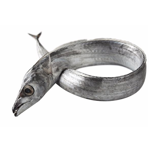 BELTFISH/RIBBON FISH/VAALA 600-700 G SIZE FISH