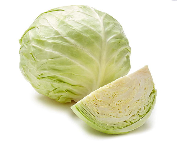 CABBAGE