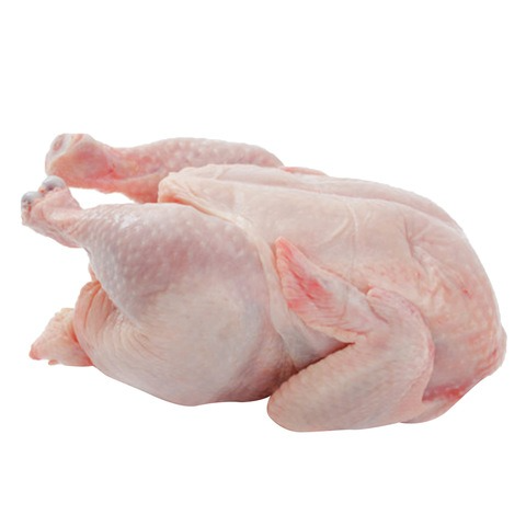 FRESH CHICKEN / FRESH BROILER CHICKEN / BROILER KOZHI