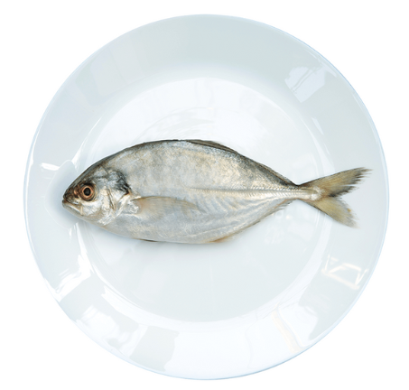 JESH/VATTA WHOLE 1.8 KG SIZE FISH