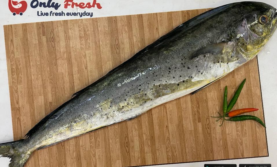 AMBALLOSE/MAHI MAHI 2 KG SIZE FISH