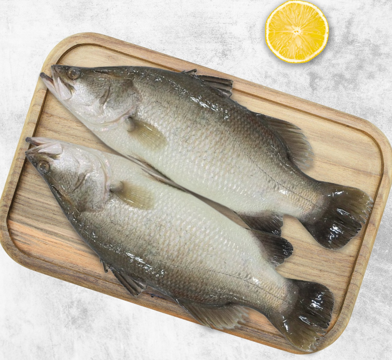 BARRAMUNDI/KALANJI 500 G- 1 KG SIZE